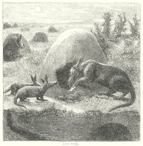  द्वारा अंग्रेजी स्कूल