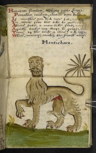 MS 57312 f.11 गेम-बुक (वेलम पर स्याही और रंग) जोड़ें द्वारा अंग्रेजी स्कूल