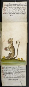 MS 57312 f.12 गेम-बुक (वेलम पर स्याही और रंग) जोड़ें द्वारा अंग्रेजी स्कूल