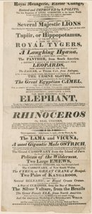 Royal Menagerie, Exeter Change के लिए विज्ञापन द्वारा अंग्रेजी स्कूल