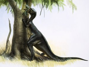 Anatosaurus द्वारा अंग्रेजी स्कूल