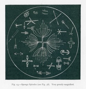  द्वारा अंग्रेजी स्कूल