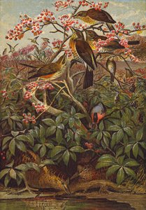  द्वारा अंग्रेजी स्कूल