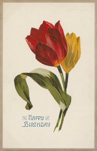  द्वारा अंग्रेजी स्कूल