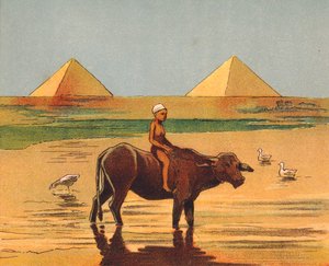  द्वारा अंग्रेजी स्कूल