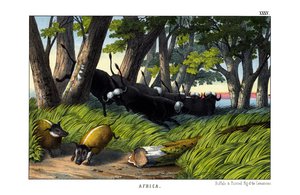  द्वारा अंग्रेजी स्कूल