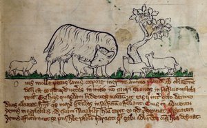 सीसीए-लिटमस - डी - 10 फॉल। 8r भेड़, Bestiary से द्वारा अंग्रेजी स्कूल