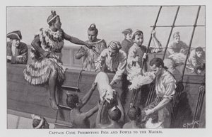 कैप्टन कुक माओरियों को सूअर और मुर्गी पेश करते हुए (लिथो) द्वारा अंग्रेजी स्कूल