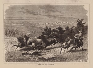  द्वारा अंग्रेजी स्कूल