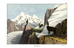  द्वारा अंग्रेजी स्कूल