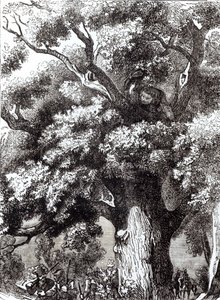चार्ल्स द्वितीय (1630-85) ओक ट्री में छिपा, 14 अक्टूबर 1651 द्वारा अंग्रेजी स्कूल
