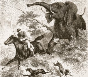 एक हाथी द्वारा पीछा किया गया, जे। ईविंग रिची, पब द्वारा डेविड पिक्सस्टोन के जीवन और खोजों के सचित्र संस्करण का चित्रण। ए। फुलार्टन एंड कंपनी द्वारा, 1876 द्वारा अंग्रेजी स्कूल