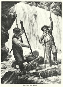  द्वारा अंग्रेजी स्कूल