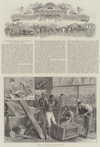 औपनिवेशिक और भारतीय प्रदर्शनी, केप ऑफ गुड होप (उत्कीर्णन) द्वारा अंग्रेजी स्कूल