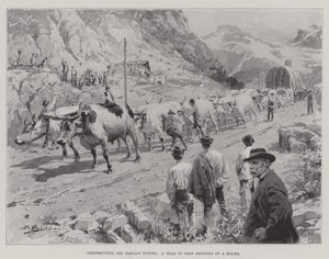 सिम्पलॉन टनल का निर्माण, बैलों की एक टीम एक बॉयलर (लिथो) ला रही है द्वारा अंग्रेजी स्कूल