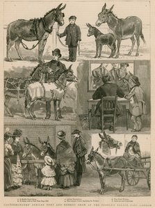 ईस्ट लंदन के पीपल्स पैलेस में कॉस्टरमॉन्जर्स जुबली पोनी और गधा शो द्वारा अंग्रेजी स्कूल
