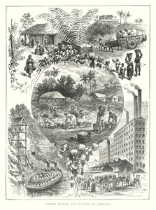  द्वारा अंग्रेजी स्कूल