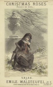 क्रिसमस गुलाब का आवरण