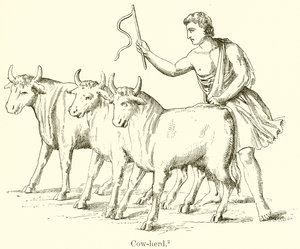गाय-झुंड द्वारा अंग्रेजी स्कूल