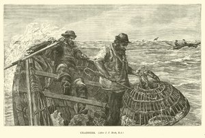 Crabbers द्वारा अंग्रेजी स्कूल