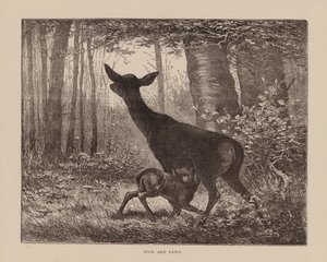  द्वारा अंग्रेजी स्कूल