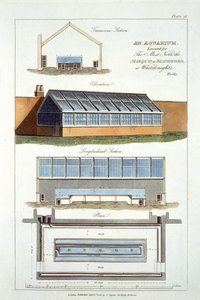 एक एक्वेरियम के लिए डिज़ाइन, 1806 में व्हाइटकन्ट्स में द मार्क्विस ऑफ़ ब्लैंडफ़ोर्ड के लिए निष्पादित द्वारा अंग्रेजी स्कूल