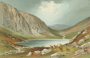 धु होल - लोच न गर द्वारा अंग्रेजी स्कूल