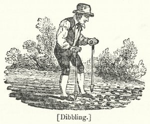 Dibbling द्वारा अंग्रेजी स्कूल