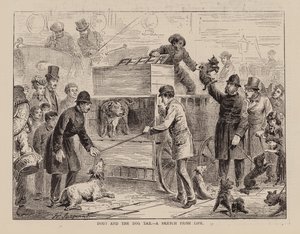  द्वारा अंग्रेजी स्कूल