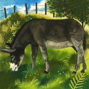 गधा द्वारा अंग्रेजी स्कूल