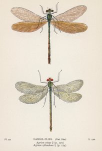  द्वारा अंग्रेजी स्कूल