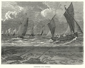  द्वारा अंग्रेजी स्कूल