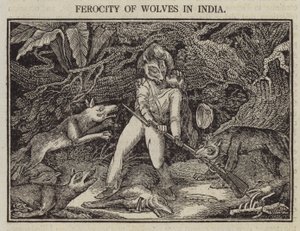 भारत में भेड़ियों की क्रूरता (उत्कीर्णन) द्वारा अंग्रेजी स्कूल