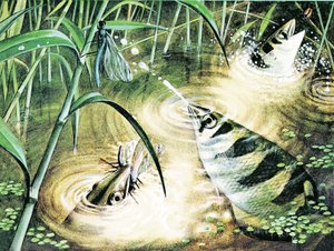 मछलियाँ जो गोलियों को भूनती हैं - आर्चरफ़िश पानी को बारूद के रूप में इस्तेमाल करती हैं द्वारा अंग्रेजी स्कूल