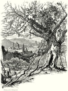  द्वारा अंग्रेजी स्कूल