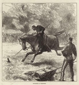 इलस्ट्रेटेड लंदन न्यूज़ का फ्रंट कवर, 12 जून 1875
