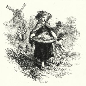 Cowslips इकट्ठा करना (उत्कीर्णन) द्वारा अंग्रेजी स्कूल