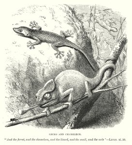  द्वारा अंग्रेजी स्कूल