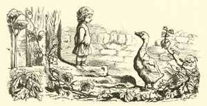 नासमझ, नासमझ द्वारा अंग्रेजी स्कूल