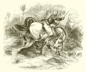 जंगली सूअर का शिकार कैसे किया जाता है
