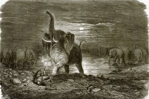 हंटर और हाथी द्वारा अंग्रेजी स्कूल