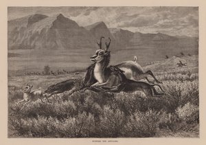  द्वारा अंग्रेजी स्कूल