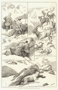 आईबेक्स-शिगार नाले, बाल्टिस्तान, हिमालय में शूटिंग (उत्कीर्णन) द्वारा अंग्रेजी स्कूल