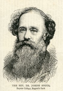जोसेफ एंगस (1816-1902) ग्राफिक 10 जुलाई, 1875 से चित्रण द्वारा अंग्रेजी स्कूल