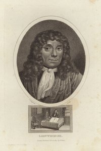 Leeuwenhoek द्वारा अंग्रेजी स्कूल