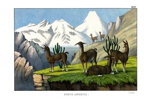  द्वारा अंग्रेजी स्कूल