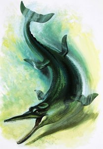 Metriorhynchus द्वारा अंग्रेजी स्कूल