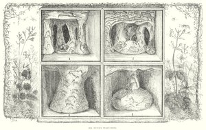  द्वारा अंग्रेजी स्कूल