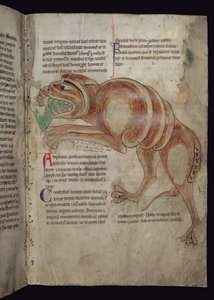 Ms.254 f.24 r एक व्यक्ति को कोलोड्रिलस निगलना द्वारा अंग्रेजी स्कूल