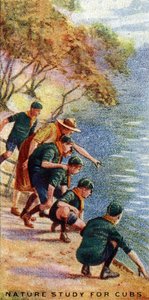शावकों के लिए प्रकृति अध्ययन, 1929 द्वारा अंग्रेजी स्कूल